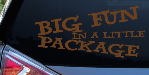 Big Fun In A Little Package Funny Car or Truck Window Decal Sticker (Copper)