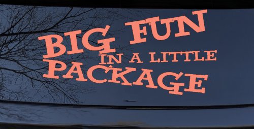 Big Fun In A Little Package Funny Car or Truck Window Decal Sticker (Coral)
