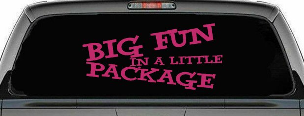 Big Fun In A Little Package Funny Car or Truck Window Decal Sticker