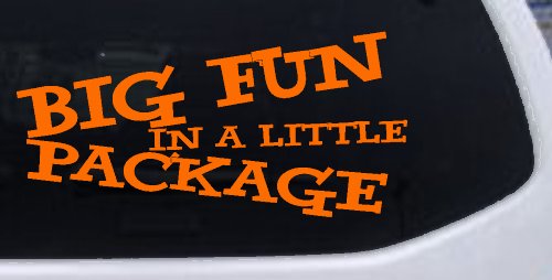 Big Fun In A Little Package Funny Car or Truck Window Decal Sticker