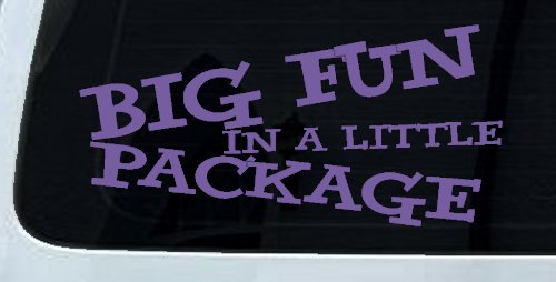 Big Fun In A Little Package Funny Car or Truck Window Decal Sticker