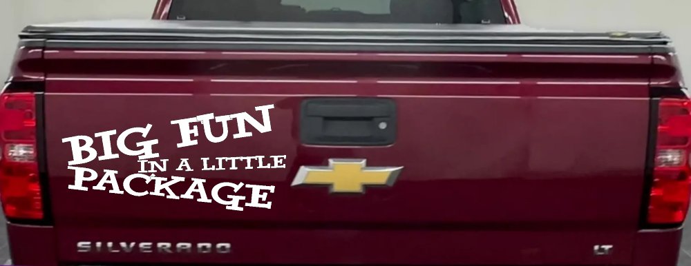 Big Fun In A Little Package Funny Car or Truck Window Decal Sticker (White)