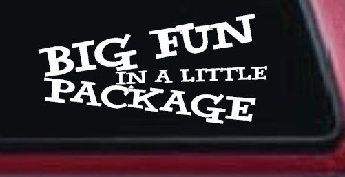 Big Fun In A Little Package Funny Car or Truck Window Decal Sticker