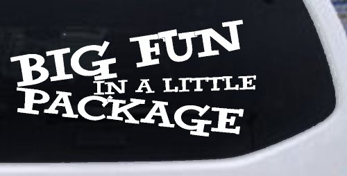 Big Fun In A Little Package Funny Car or Truck Window Decal Sticker