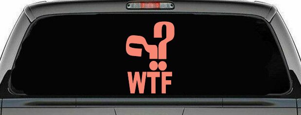 Funny WTF Funny Car or Truck Window Decal Sticker (Coral)