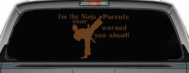Im The Ninja Your Parents Warned You About Funny Car or Truck Window Decal Sticker