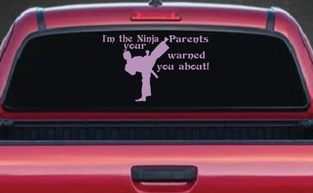 Im The Ninja Your Parents Warned You About Funny Car or Truck Window Vinyl Decal Sticker (Lilac)