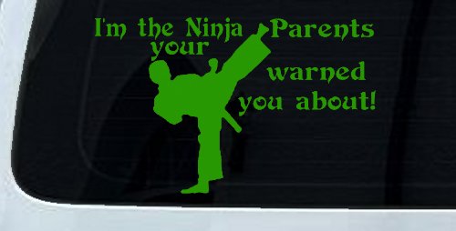 Im The Ninja Your Parents Warned You About Funny Car or Truck Window Decal Sticker