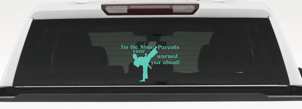 Im The Ninja Your Parents Warned You About Funny Car or Truck Window Decal Sticker (Mint)