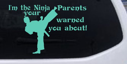 Im The Ninja Your Parents Warned You About Funny Car or Truck Window Decal Sticker (Mint)