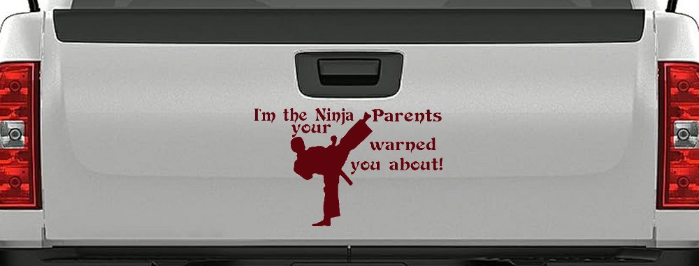 Im The Ninja Your Parents Warned You About Funny Car or Truck Window Decal Sticker