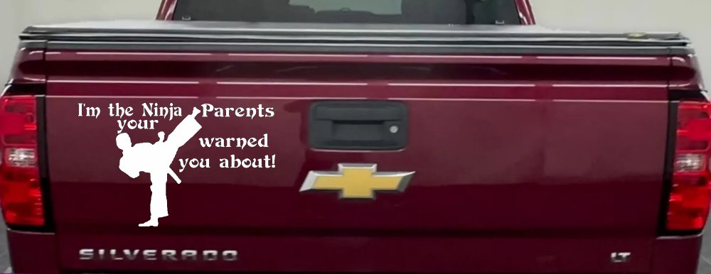 Im The Ninja Your Parents Warned You About Funny Car or Truck Window Decal Sticker