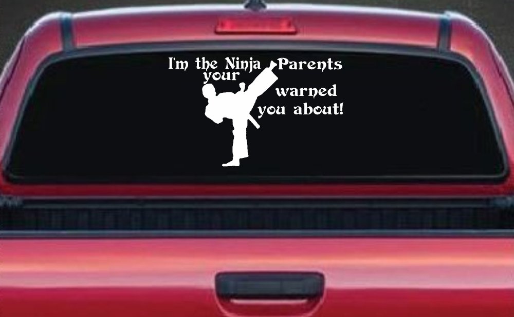Im The Ninja Your Parents Warned You About Funny Car or Truck Window Decal Sticker