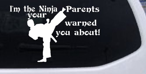 Im The Ninja Your Parents Warned You About Funny Car or Truck Window Decal Sticker