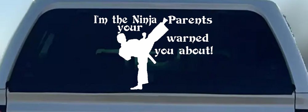 Im The Ninja Your Parents Warned You About Funny Car or Truck Window Decal Sticker