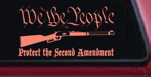 We The People Protect The Second Amendment Anti Gun Control Hunting Car or Truck Window Decal Sticker