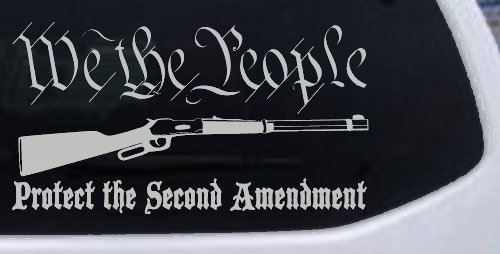 We The People Protect The Second Amendment Anti Gun Control Hunting Car or Truck Window Decal Sticker (Light Gray)