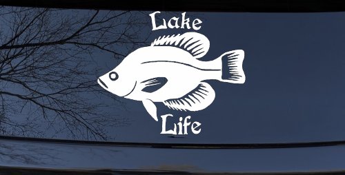 Lake Life Crappie Fishing Car or Truck Window Decal Sticker (White)
