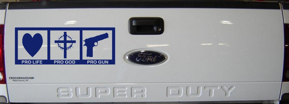 Pro Life Pro God Pro Gun Country Car or Truck Window Decal Sticker