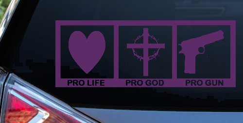 Pro Life Pro God Pro Gun Country Car or Truck Window Decal Sticker