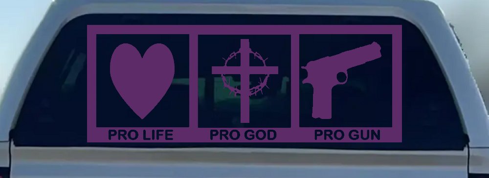 Pro Life Pro God Pro Gun Country Car or Truck Window Decal Sticker
