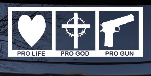Pro Life Pro God Pro Gun Country Car or Truck Window Decal Sticker