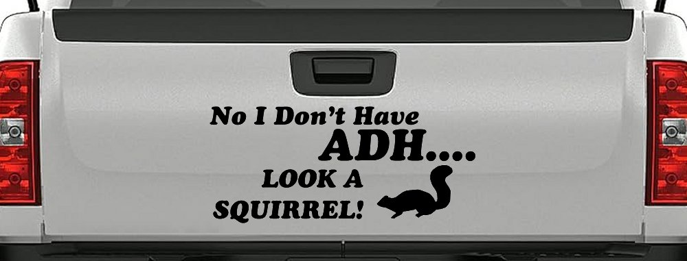 Ni I don't Have ADHD Look A Squirrel Funny Car or Truck Window Decal Sticker (Black)