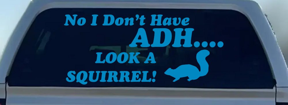 Ni I don't Have ADHD Look A Squirrel Funny Car or Truck Window Decal Sticker (Blue)