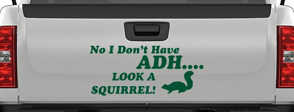 Ni I don't Have ADHD Look A Squirrel Funny Car or Truck Window Vinyl Decal Sticker (Dark Green)