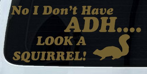 Ni I don't Have ADHD Look A Squirrel Funny Car or Truck Window Decal Sticker