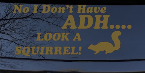 Ni I don't Have ADHD Look A Squirrel Funny Car or Truck Window Decal Sticker (Gold)