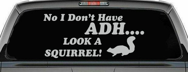 Ni I don't Have ADHD Look A Squirrel Funny Car or Truck Window Decal Sticker (Light Gray)