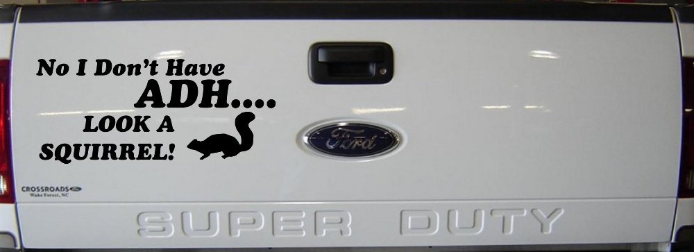 Ni I don't Have ADHD Look A Squirrel Funny Car or Truck Window Vinyl Decal Sticker (Matte Black)