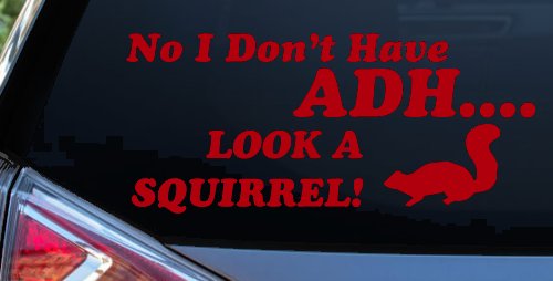 Ni I don't Have ADHD Look A Squirrel Funny Car or Truck Window Vinyl Decal Sticker (Red)