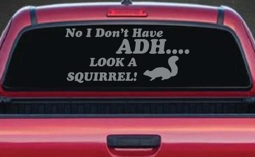 Ni I don't Have ADHD Look A Squirrel Funny Car or Truck Window Decal Sticker