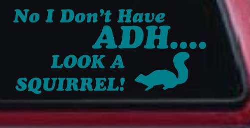 Ni I don't Have ADHD Look A Squirrel Funny Car or Truck Window Decal Sticker (Turquoise Blue)