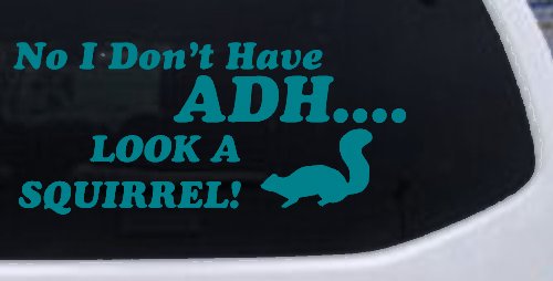 Ni I don't Have ADHD Look A Squirrel Funny Car or Truck Window Decal Sticker (Turquoise Blue)
