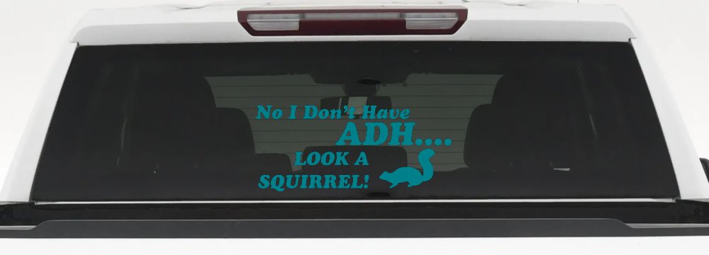 Ni I don't Have ADHD Look A Squirrel Funny Car or Truck Window Decal Sticker