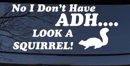 Ni I don't Have ADHD Look A Squirrel Funny Car or Truck Window Decal Sticker