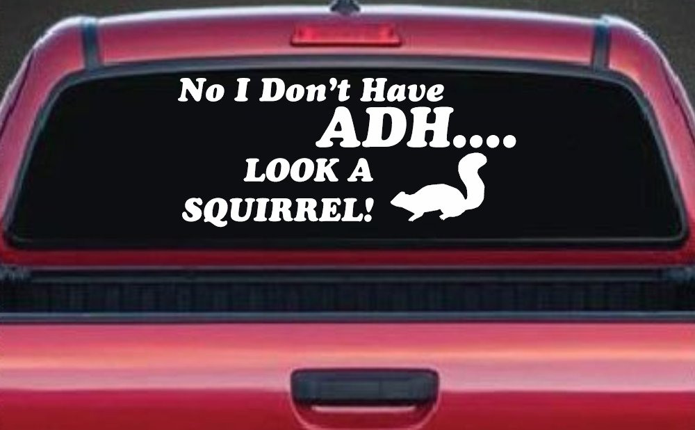 Ni I don't Have ADHD Look A Squirrel Funny Car or Truck Window Decal Sticker (White)