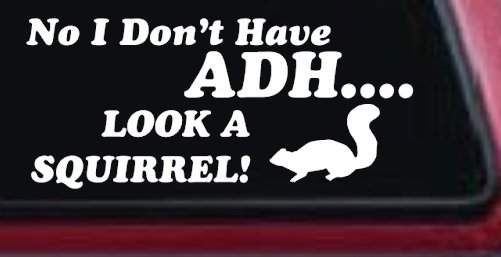 Ni I don't Have ADHD Look A Squirrel Funny Car or Truck Window Decal Sticker