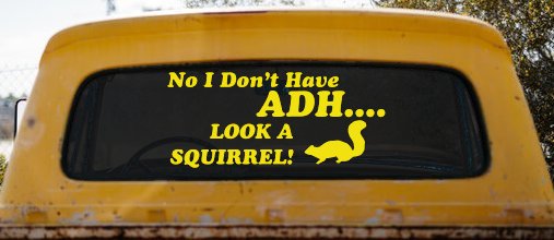 Ni I don't Have ADHD Look A Squirrel Funny Car or Truck Window Decal Sticker