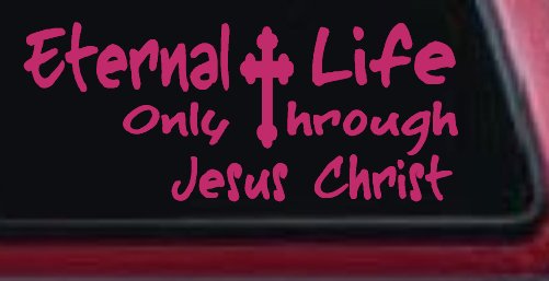 Eternal Life Only Through Jesus Christ Christian Car or Truck Window Vinyl Decal Sticker (Hot Pink)