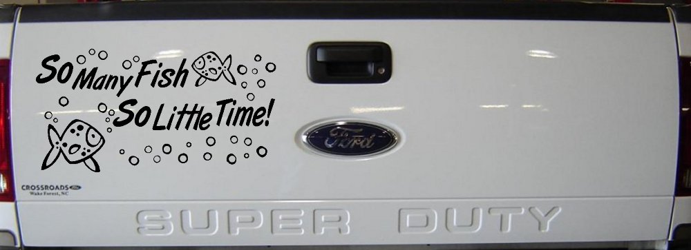 So Many Fish So Little Time Fishing Car or Truck Window Vinyl Decal Sticker (Black)