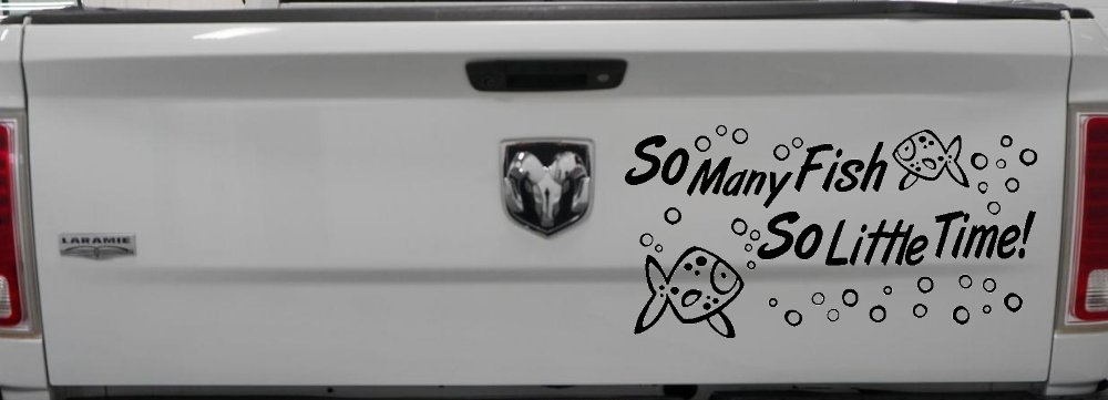 So Many Fish So Little Time Fishing Car or Truck Window Decal Sticker