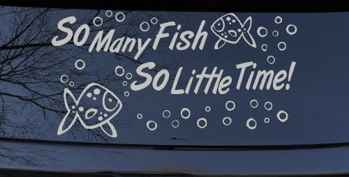 So Many Fish So Little Time Fishing Car or Truck Window Decal Sticker
