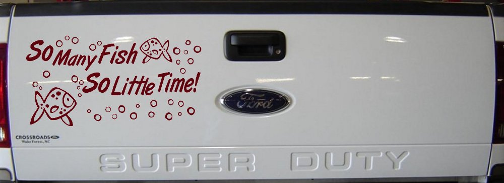 So Many Fish So Little Time Fishing Car or Truck Window Decal Sticker
