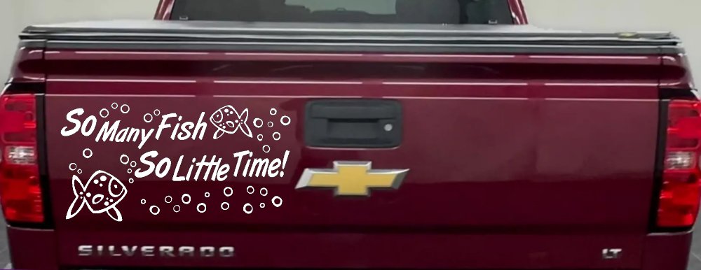 So Many Fish So Little Time Fishing Car or Truck Window Decal Sticker