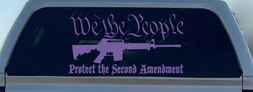 We The People Protect The Second Amendment AR15 Gun 2nd Amendment Car or Truck Window Decal Sticker (Purple)
