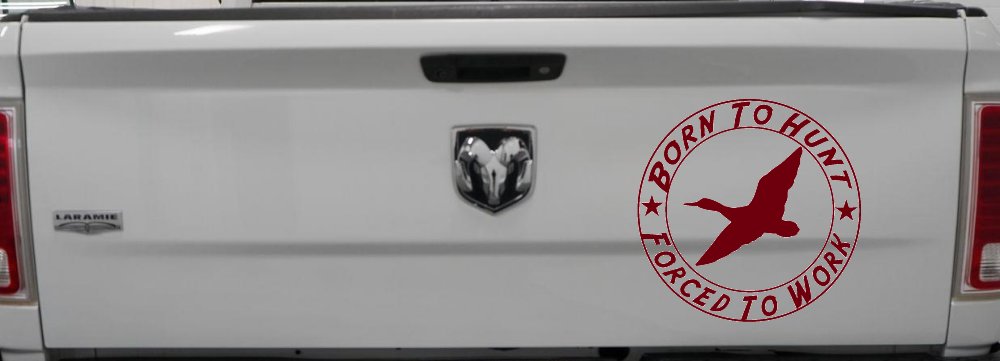 Born To Hunt Forced To Work Duck Hunting Car or Truck Window Decal Sticker (Burgundy)